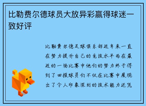 比勒费尔德球员大放异彩赢得球迷一致好评